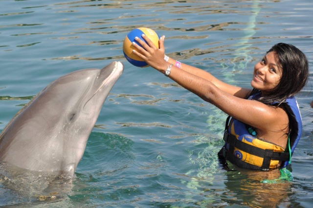 actividades con delfines